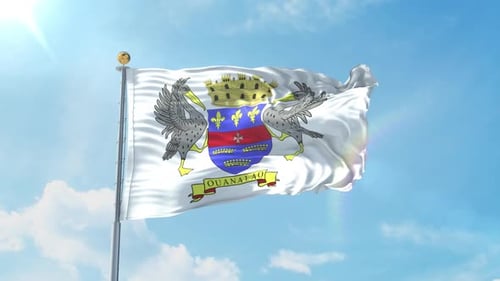 Realistic Waving Flag with Coat of Arms Seamless Loop