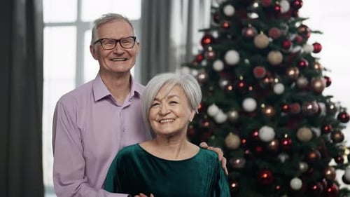 Senior Couple Embracing Near Christmas Tree