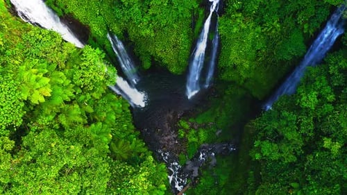 Beautiful Fiji waterfalls in lush rainforest valley with pool in Bali.