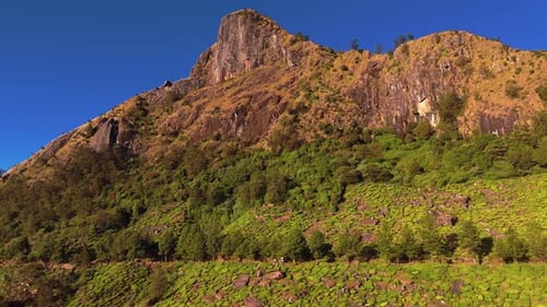 Drones filmés par drone Kerla Munnar dans les Ghâts occidentaux de Munnar