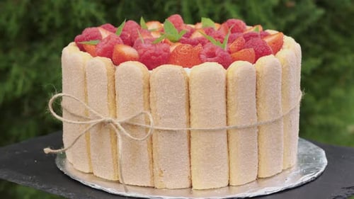 Berry raspberry and strawberry pie with mint. Savoiardi cookies. Rotation. Close-up.