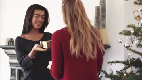 Women Exchange Christmas Gift by Decorated Tree