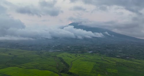 Tea Plantations and Mount Kerinci Sumatra Indonesia