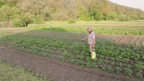 Farmer spraying pesticide sprayer garden farm vegetable garden spraying crop protection plant field