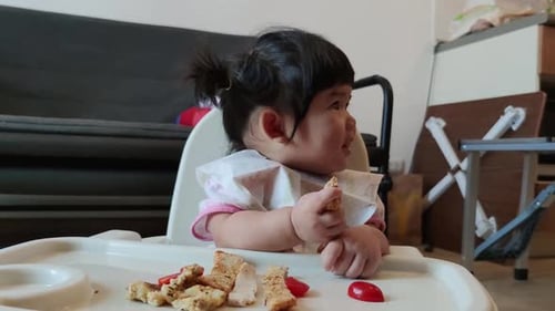 Infant Eating Toast in High Chair at Home