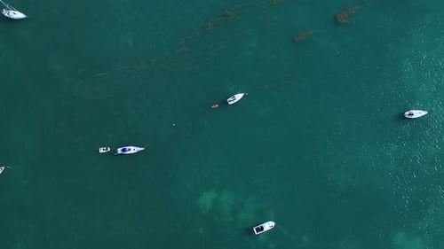 Sailboats gently anchored off the beautiful Florida shoreline from above