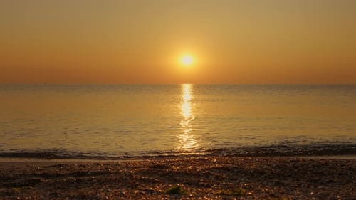 Risen on the beach wtch shining golden waves close up.