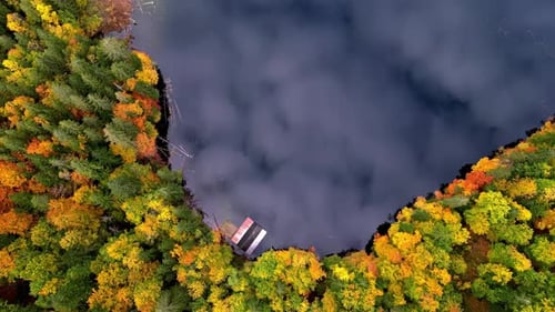 A beautiful view of a golden lake with a dock and trees in the background. The water is calm and the