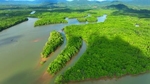 Explore Thailand mangrove forests through a captivating drone aerial view.