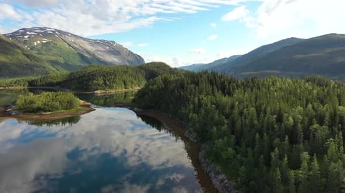 The Beauty of Green Mountains and Lush Forests: A Nature Lover's Paradise 4K