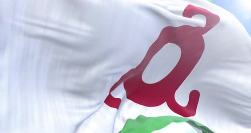 Realistic 3D Flag Waving with Distinctive Red Symbol