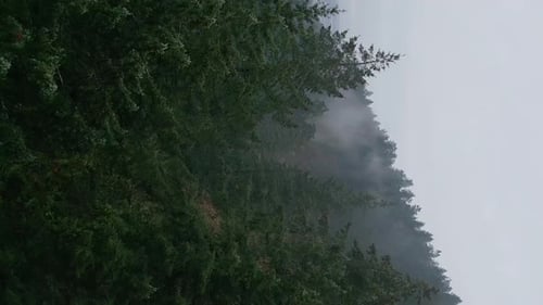 Foto aérea vertical del clima lluvioso en las montañas