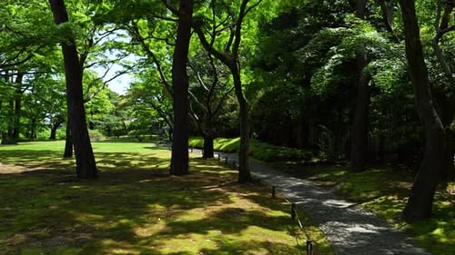 Beautiful Tonogayato gardens in Tokyo on lush summer day