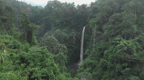 Waterfall in green rainforest in Asia