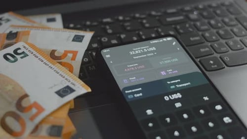 Smartphone App Displaying Budget Details Close Up