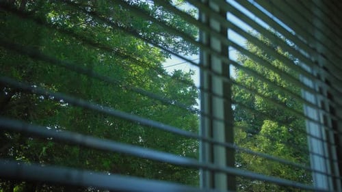 Shot of Sun Shining Through Window Blinds and Green Trees in the Background in Morning Time Close Up