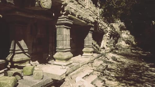 Nature Reclaiming Historic Temple with Twisting Roots and Vibrant Green Growth