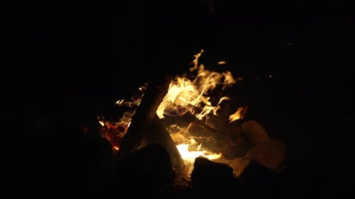 Fire And Sparks Rise Over Burning Woods - Campfire Outdoor - Static Shot