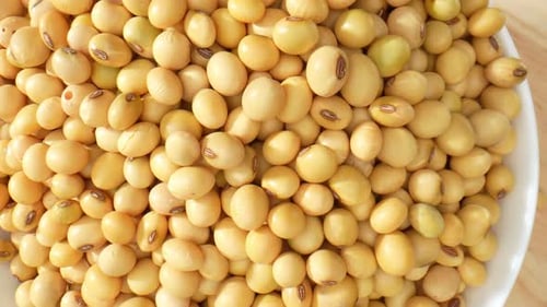 Macro video showcases soybeans in a bowl