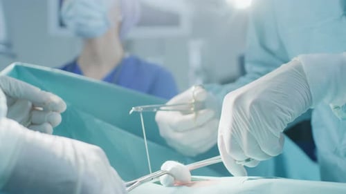 Close-up on Professional Surgeon Suture Wound after Successful Surgery. In the Background Modern Ho