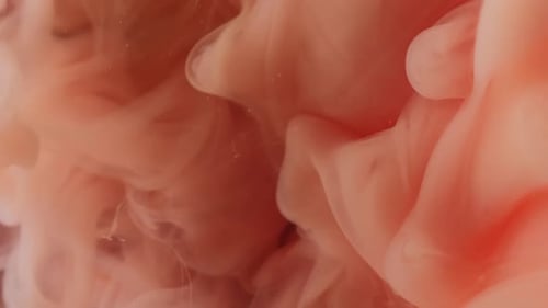 Peach and Orange Pigment Abstract Motion