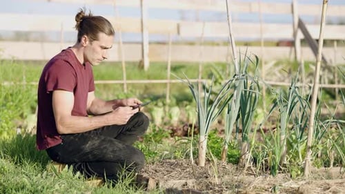 Young Farmer Using a Digital Tablet for Agricultural Management in a Vegetable Garden