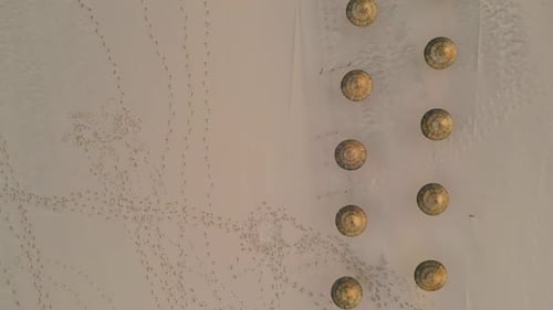 Straw Umbrellas Empty Beach Top View Aerial Beige Sandy Surface with Footprints