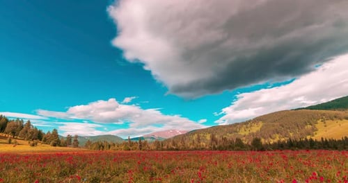 Mountain Meadow Timelapse at the Summer or Autumn Time