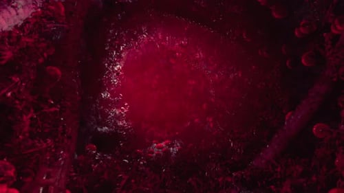 Horror vudú con tentáculos rojos