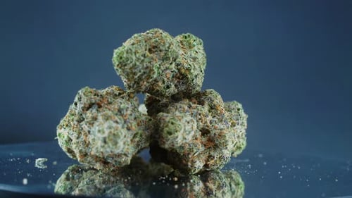 Graugrüne getrocknete Marihuana-Knospen - Nahaufnahme, Haufen getrockneter Marihuana-Pflanzen, orange T