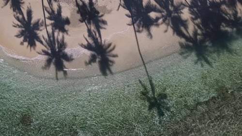 View at Palms at the Beach