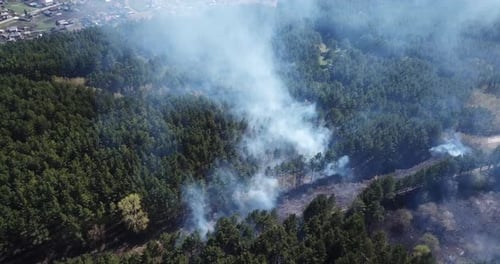 Wildfire aerial footage. Forest fire.