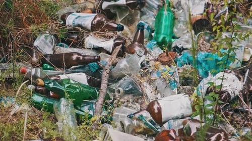 Illegal Garbage Dump of Plastic and Bottles in the Forest Pit Pollution