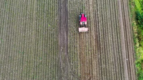 Farmers works in field. Red Tractor cultivating field at autumn