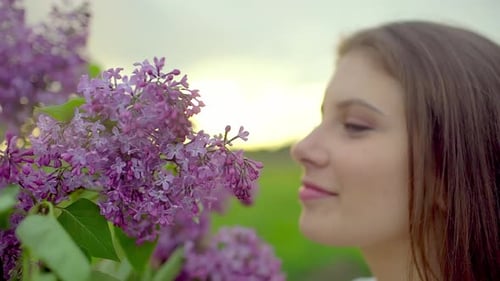 Happy Beautiful Woman Smelling Blooming Flowers Lilacs at Nature Meadow Sunset Young Teenage Girl