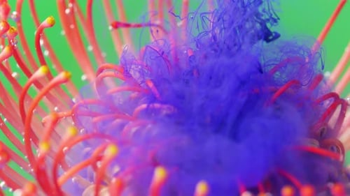 Red Flower Engulfed by Blue Ink Cloud