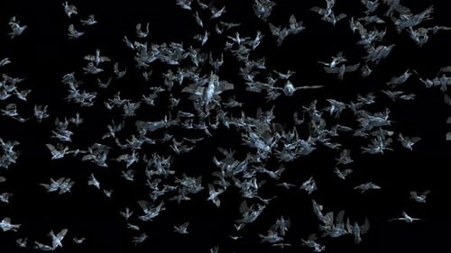 Stylized Dark Crows Flying Flock Loop