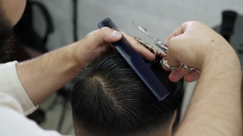 Barber Giving Haircut with Scissors and Comb