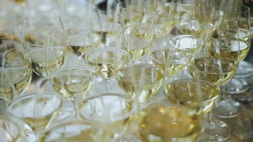 Rows of Elegant Champagne Glasses Ready for Celebration