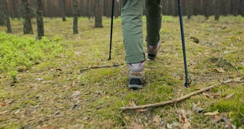 Selective Focus on Woman Legs in Trekking Boots From Behind Back Walking By Grass in Forest Wood