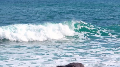 Captivating turquoise waves rolling on a serene sunny beach in summer