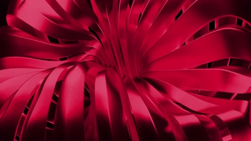 Red lines. Design. Large lines made from one place in the animation.