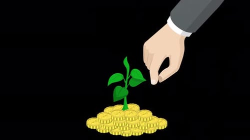 Money Tree Coin Plant For Save Money 4K On Alpha Channel