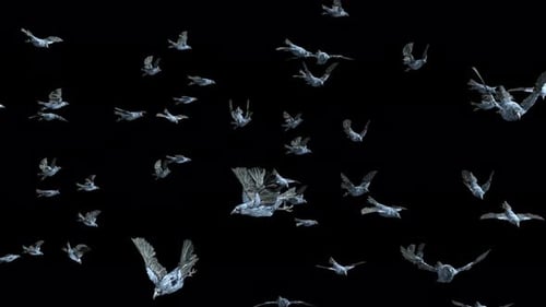 Flock of Stylized Ice Birds Flying Across Screen