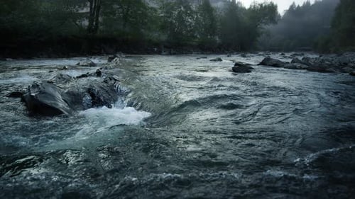 Clear Mountain River Flowing Through Forest in . Fast Flow Of