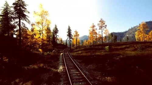 Autumn Train Tracks Journey Through Golden Forest Landscape