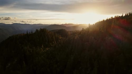 Sun Rays Casting Over The Lush Forest On The Mountaintop