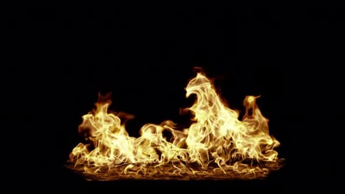 Realistic Fire Flames Alpha Channel Loop with Reflection