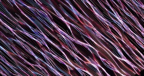 Dynamic Wavy Particle Lines Abstract Background Animation