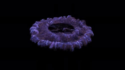 Abstract Fluid Smoke Energy Circle Reveal